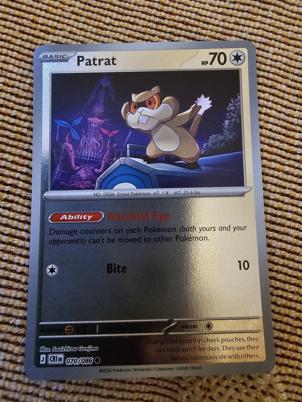 Patrat Pokémon card from the Mega Evolution: Chaos Rising (CRI) set